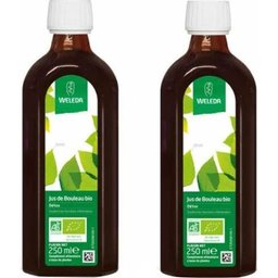 Duo Détox Bouleau Bio 2x250ml