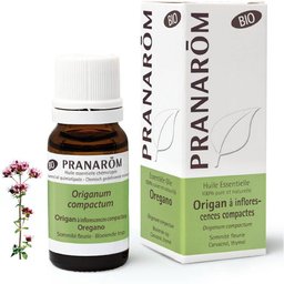 Pranarôm Huile Essentielle Origan à inflorescences compactes