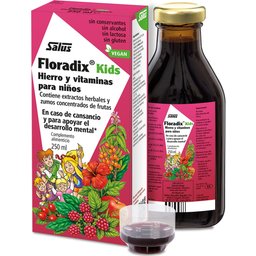 Floradix Kids 250ml