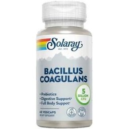 Bacillus Coagulans 60 Capsules