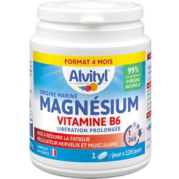 Magnésium Vitamine B6 Libération Prolongée