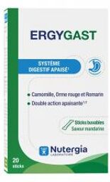Ergygast 20 Sticks - Boîte 20 sticks de 10 ml