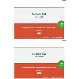 Sofcanis B12 - Vitamine B12 pour chiens et chats