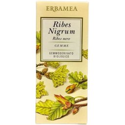 Ribes Nigrum Gemme 50ml