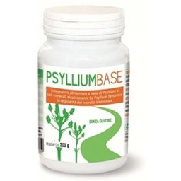Psyllium Base Poudre 200g