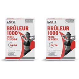 Brûleur 1000
