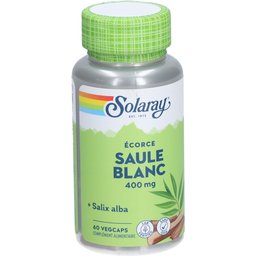 Saule Blanc