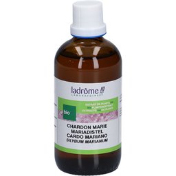 Chardon Marie Extrait de Plantes Fraîches Bio