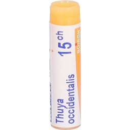 Thuya Occidentalis 15 CH dose