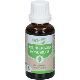 - Rosier Sauvage Bio - Complément Alimentaire - Extrait De Bourgeon Frais - Pour Défenses Naturelles - - 30 ml