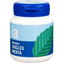 Chewing-gum Menthe 100g