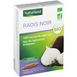 Radis Noir