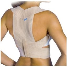Support Dorsal Transpirable 335 T-M 1ud