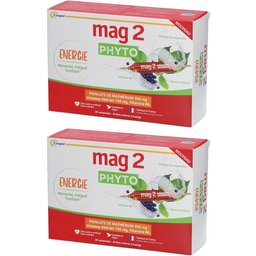 Mag 2 Phyto Energie
