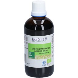 Grande Ortie Extrait Végétale