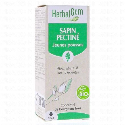 Concentré de bourgeons frais - Sapin pectiné jeunes pousses bio 30ml