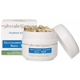 Glucosamine Calcium Silice MSM 30 Gélules
