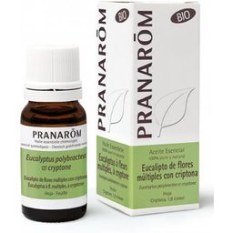Pranarôm Huile Essentielle Eucalyptus à Cryptone Bio 10ml