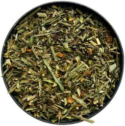 Tisane Escholtzia (Pavot de Californie) plante.