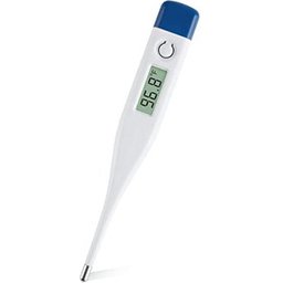 Thermetre Electronique Rigide