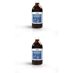 Chondro-Aid® Silicium Global+