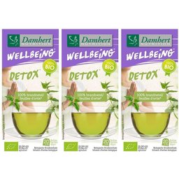 Damhert Wellbeing Infusion aux feuilles d'ortie