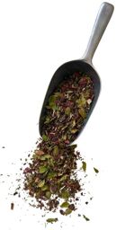 Tisane 