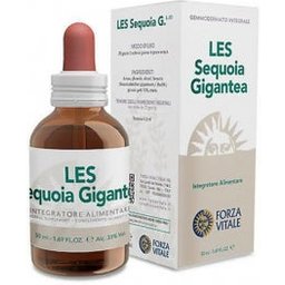 Les Sequoia Gigantea Drops50Ml