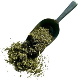 Tisane Guimauve feuille CT 250 g Althaea officinalis