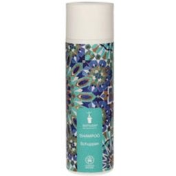 Shampooing antipelliculaire régule le cuir chevelu 200ml