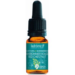 Ladrôme Marronnier Rouge N°25