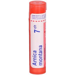 Arnica Montana 7 ch