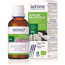 BIO Achillée Millefeuille