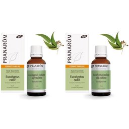 Pranarôm - Eucalyptus Radié Bio - Huile Essentielle Chémotypée - Voies Respiratoires & Immunité - 100 % Pure Et Naturelle - Hect - 30 ml