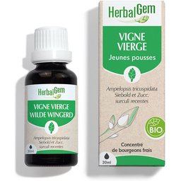 - Vigne Vierge Bio - Complément Alimentaire  - Extrait De Bourgeon Frais - Pour Circulation, Antioxidant, Santé de la peau et cardiovasculaire -  - 30 ml
