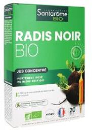 Radis Noir Bio (20 Ampoules) - Boîte 20 ampoules de 10 ml