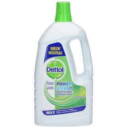 Power & Fresh Nettoie-Tout Original