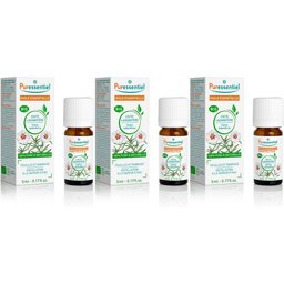 Huile Essentielle Ciste Ladanifère BIO