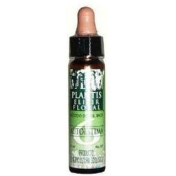 Remedy 6 Self Esteem 10ml