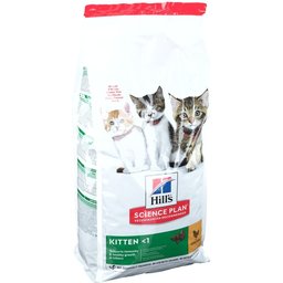 Féline Chaton avec Poulet