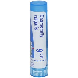 Chamomilla Vulgaris 9 ch