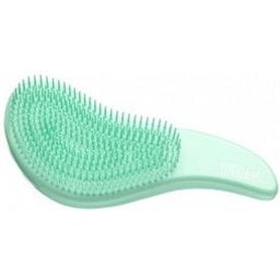Goma Cepillo Pua Plastico 1un