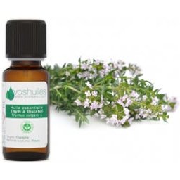 Huile Essentielle De Thym À Thujanol 5ml