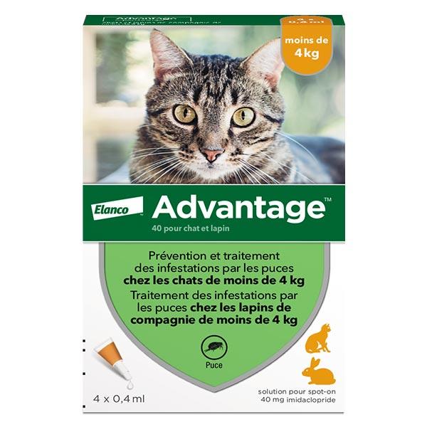 Solution Antipuce Chat Lapin 1 à 4kg 4 pipettes