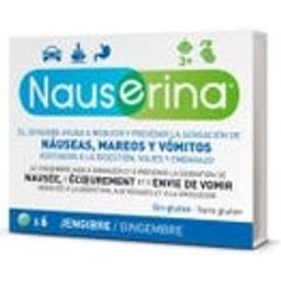 Gingembre Antimareos 6 Comp Comp