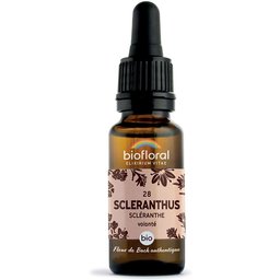 28 - Scleranthus - Scléranthe - 20 ml