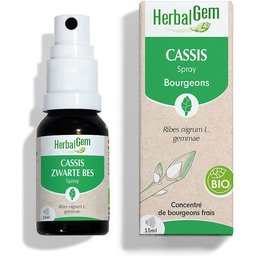 - Cassis Bio - Complément Alimentaire  - Extrait De Bourgeon Frais - Pour Articulations, 15 ml