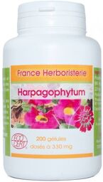 GELULES HARPAGOPHYTUM BIO 330 mg 200 gélules