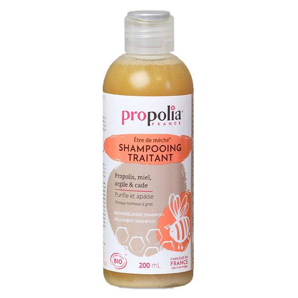 Etre de Mèche Shampoing Traitant Bio 200ml