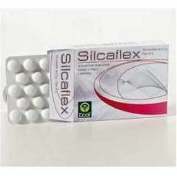 Silcaflex 100Tav